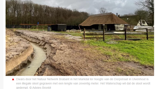 Bron BNdeStem editie Breda