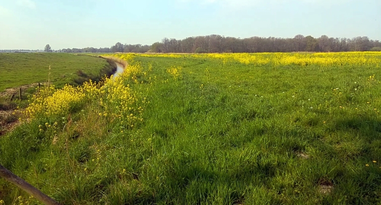 Speerpunten Water Natuurlijk - Brabantse Delta