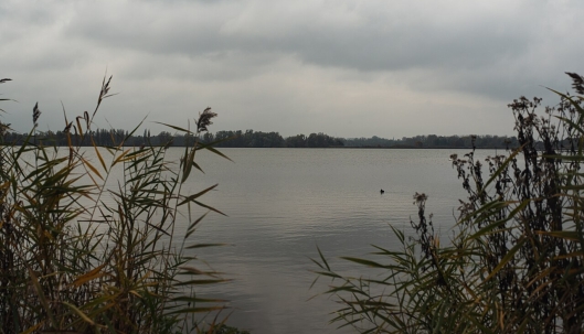 Valkenburgse Meer