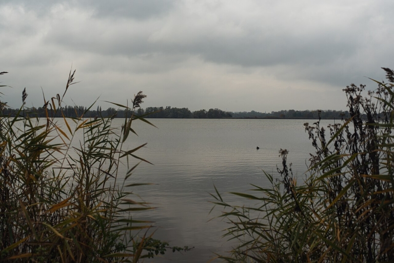 Valkenburgse Meer